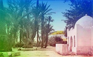 Colomb-bechar 501- Square